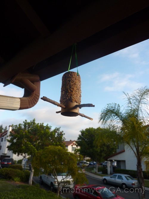 How To Make A Toilet Paper Roll Bird Feeder Craft Honey + Lime