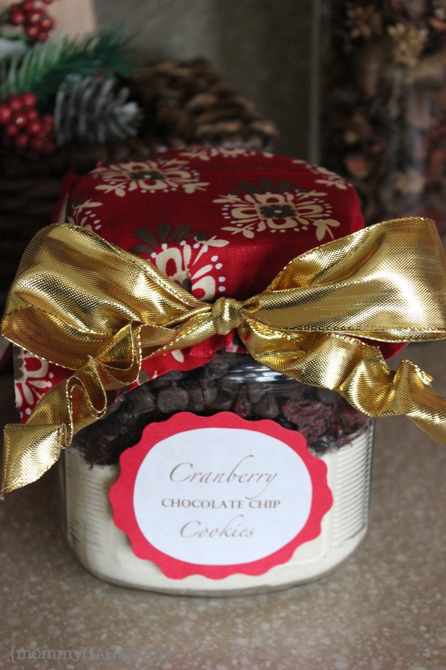 DIY Holiday Cranberry Chocolate Chip Cookie Gift Jar Honey + Lime