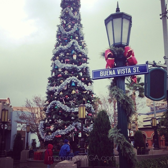 Lovely tree on Buena Vista Street in California Adventure, Christmas