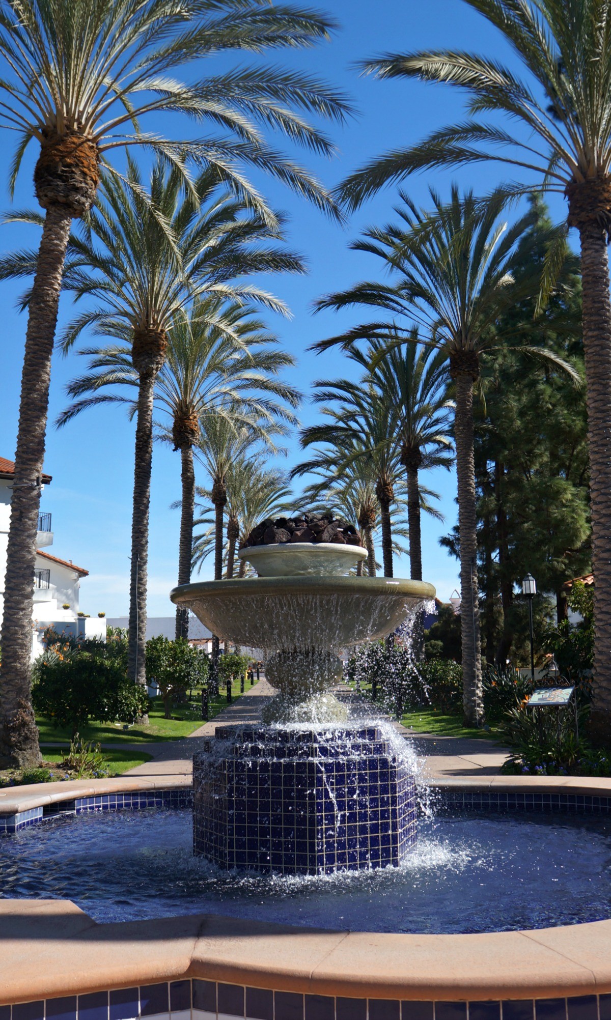 A Luxury SoCal Family Stay You'll Love The Onmi La Costa Resort and