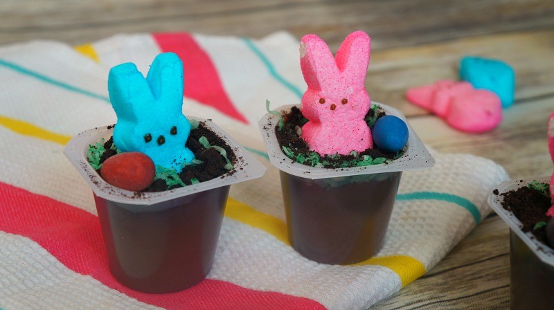 Easter dirt pudding cups with marshmallow bunnies