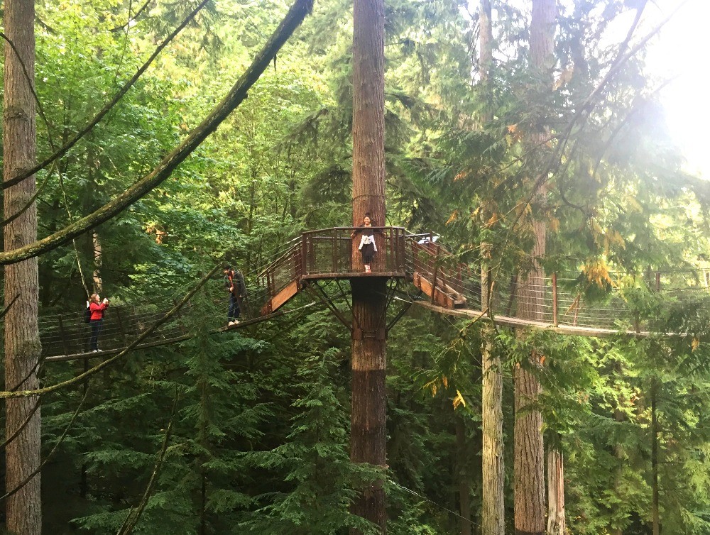 Exploring The Capilano Suspension Bridge Park In Vancouver, BC Canada