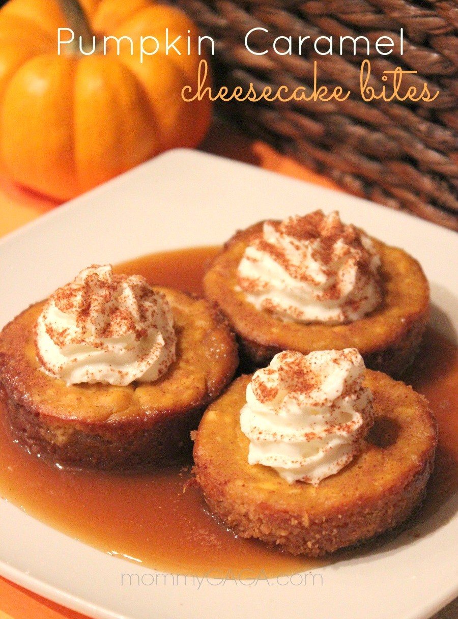 Pumpkin Caramel Cheesecake Bites Dessert Recipe