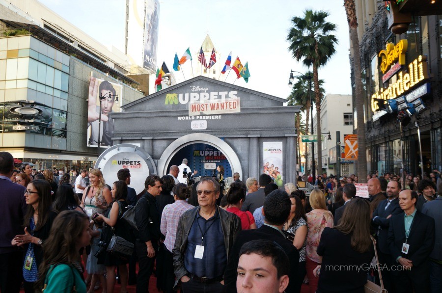 Muppets Most Wanted premiere at El Capitan Theater