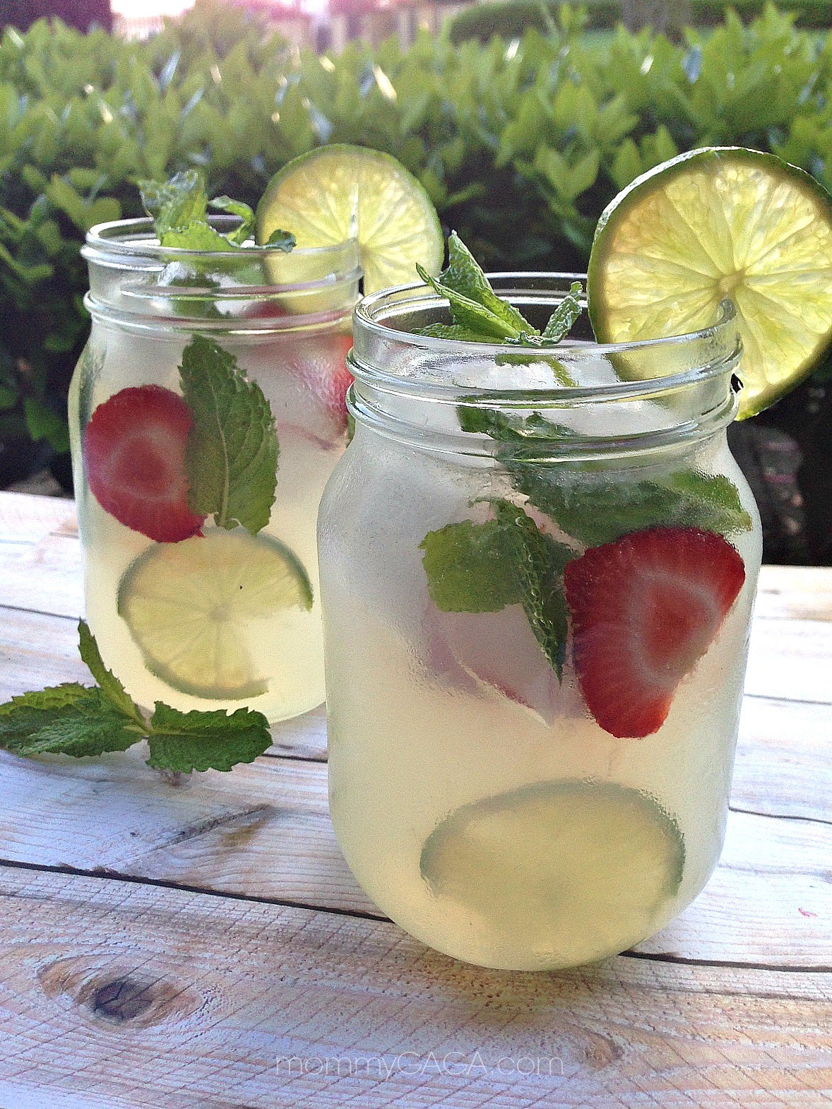 Refreshing Summer Drinks: Vodka Mint Lemonade Cocktail ...
