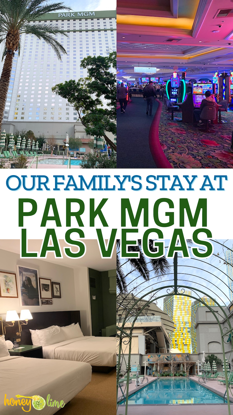 Our Park MGM Hotel Las Vegas Review for Families